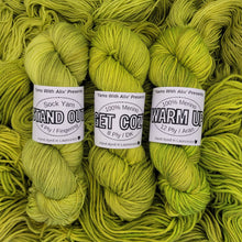 Load image into Gallery viewer, &#39;Spring Green&#39; Semi Solid 100g Skein
