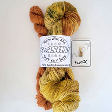 Load image into Gallery viewer, Soft Autumn - CHAOS Sock Sets
