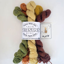 Load image into Gallery viewer, Soft Autumn - Mini Skein Sock Sets
